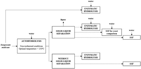 Esquema del proceso de obtención del bioetanol